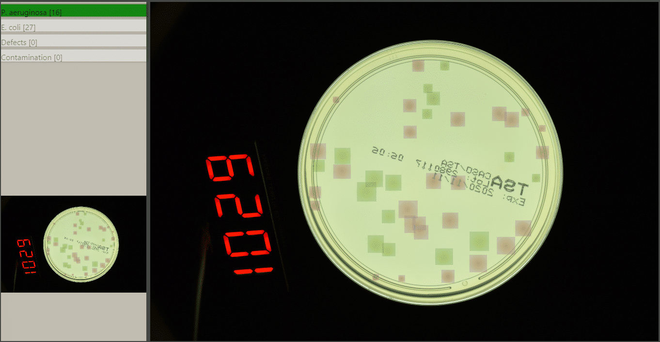 Annotated germs for automated recognition