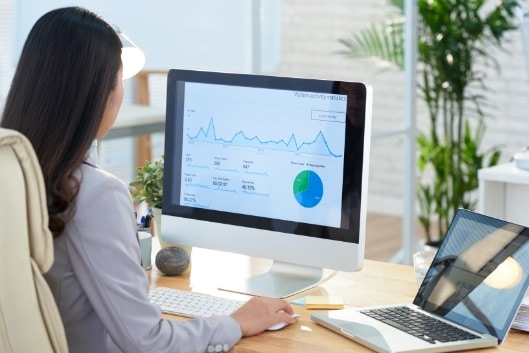 Business audit development