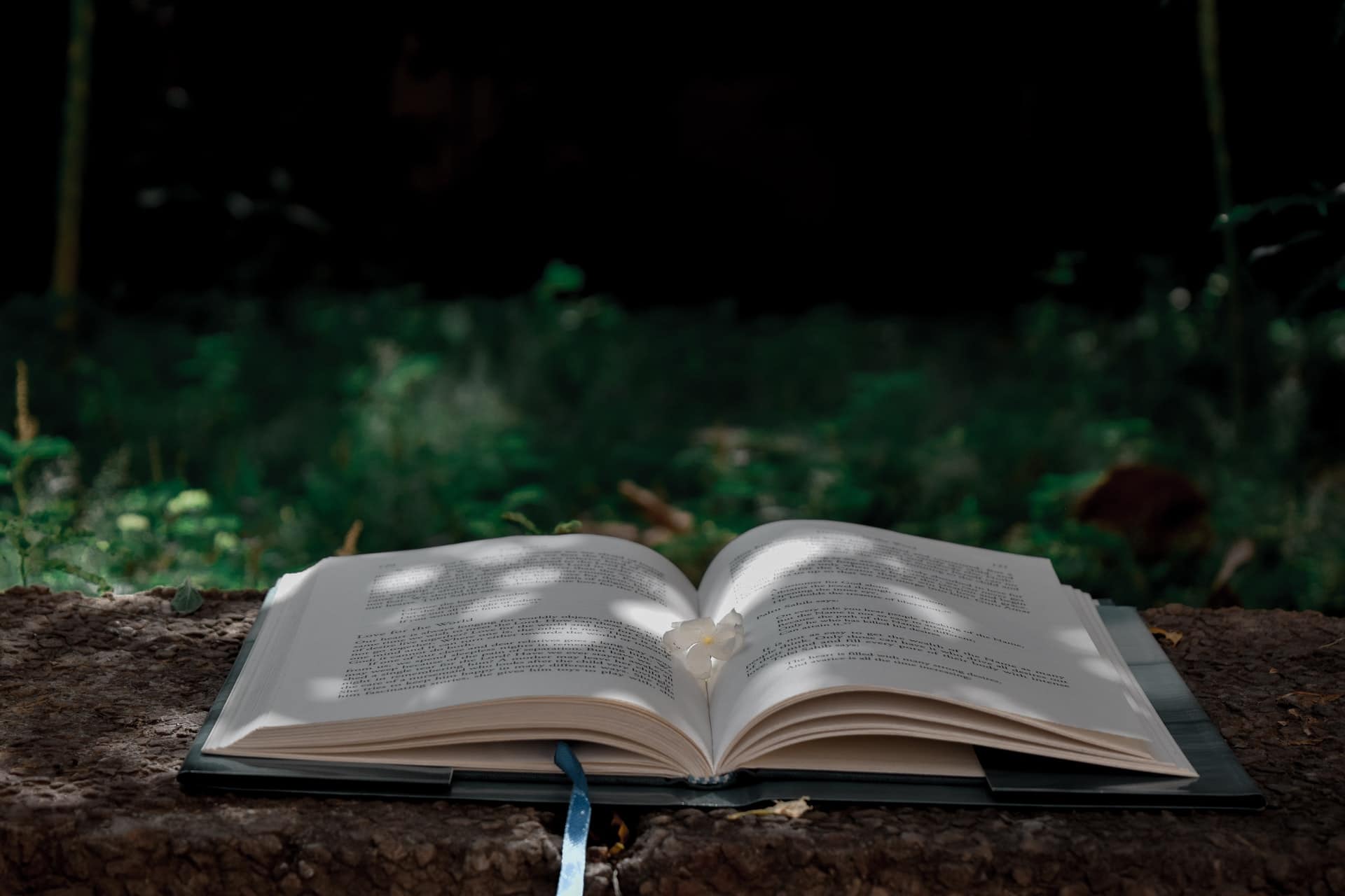 Coreference resolution in nlp