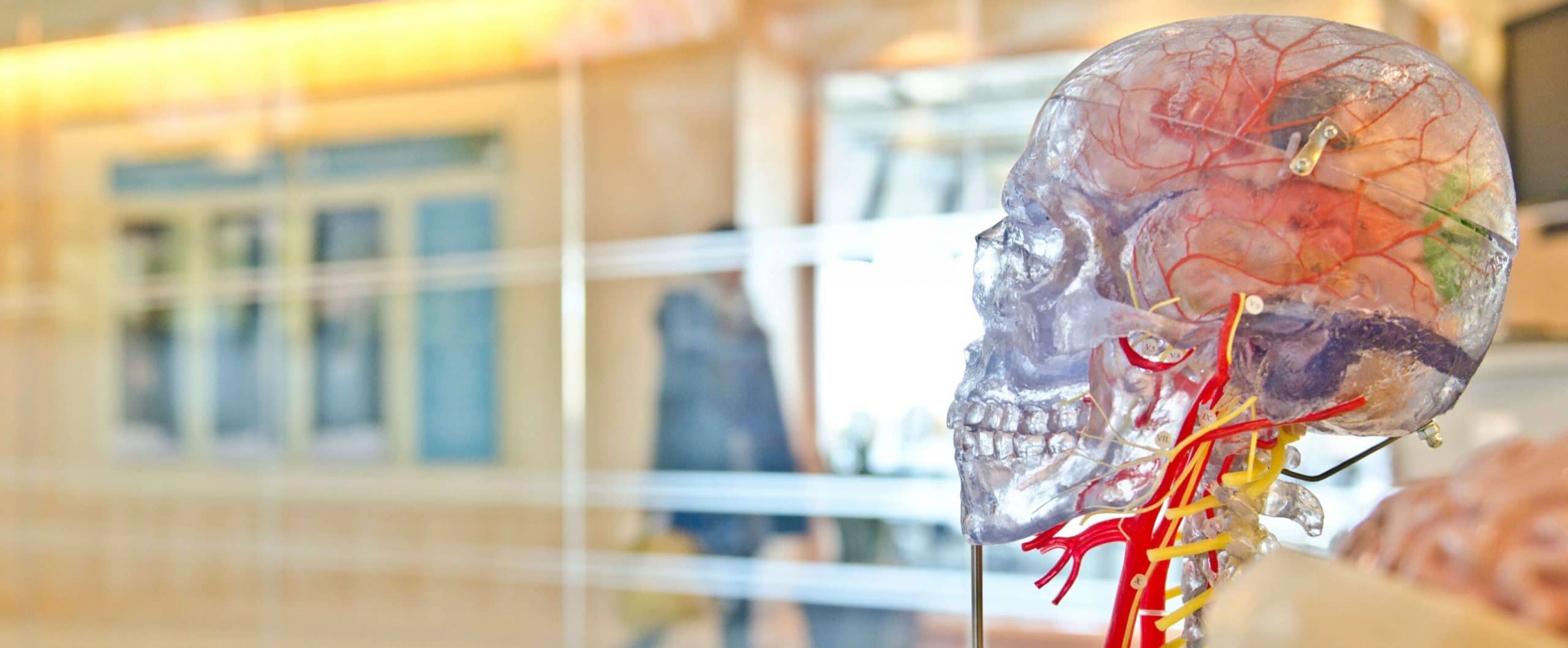 Deep learning in microbiology