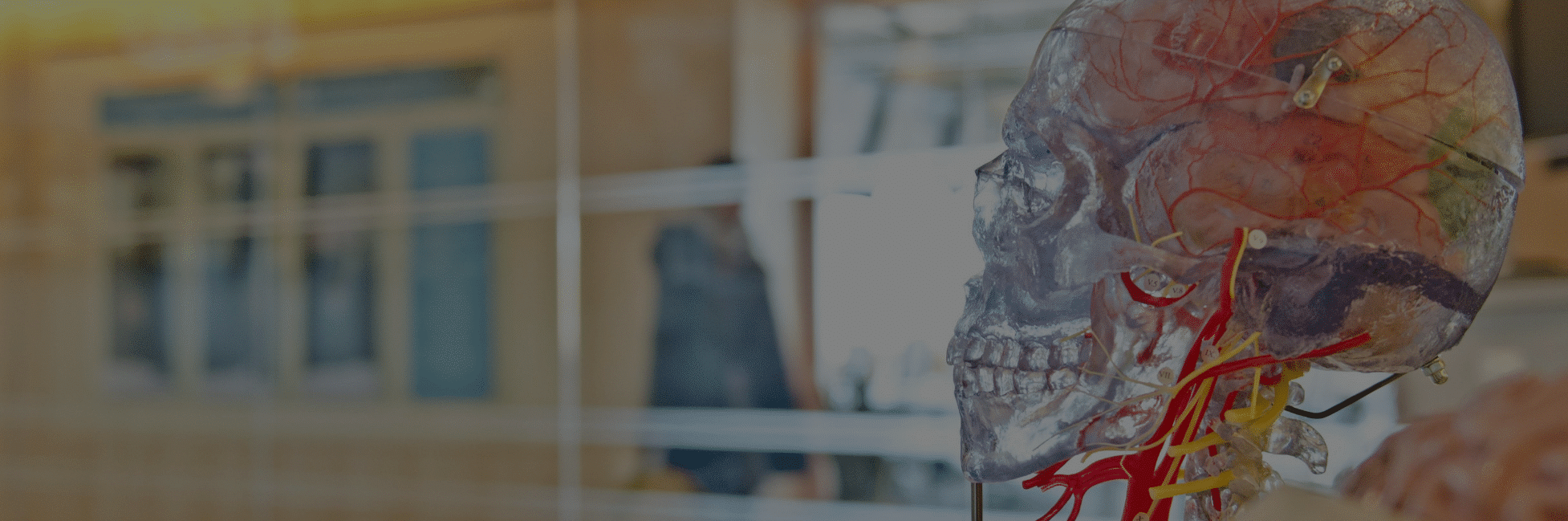 Deep_learning_microbiology_neurosys