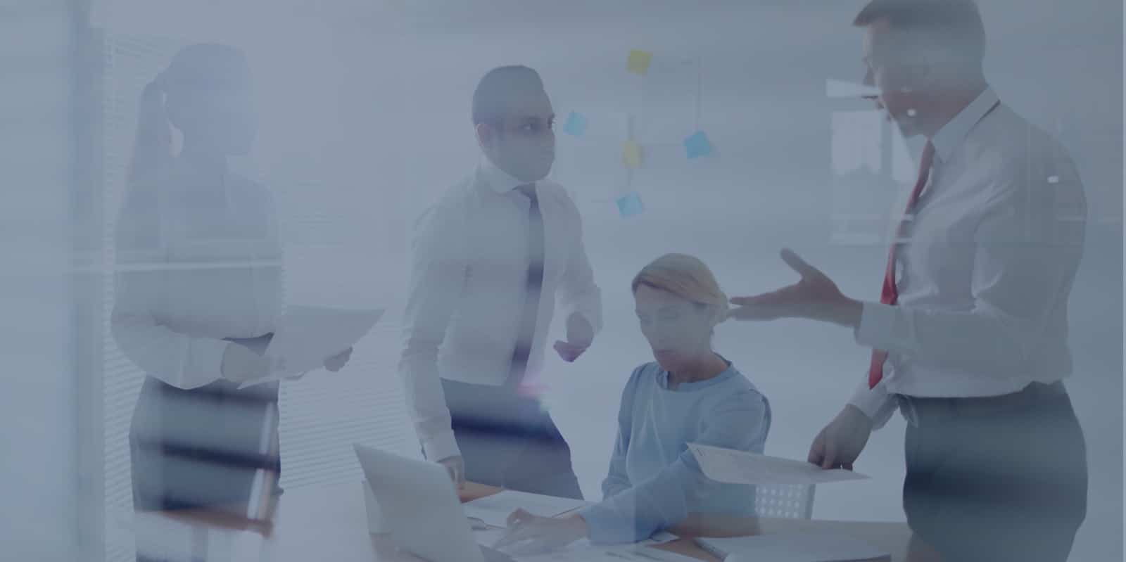 Development audit services