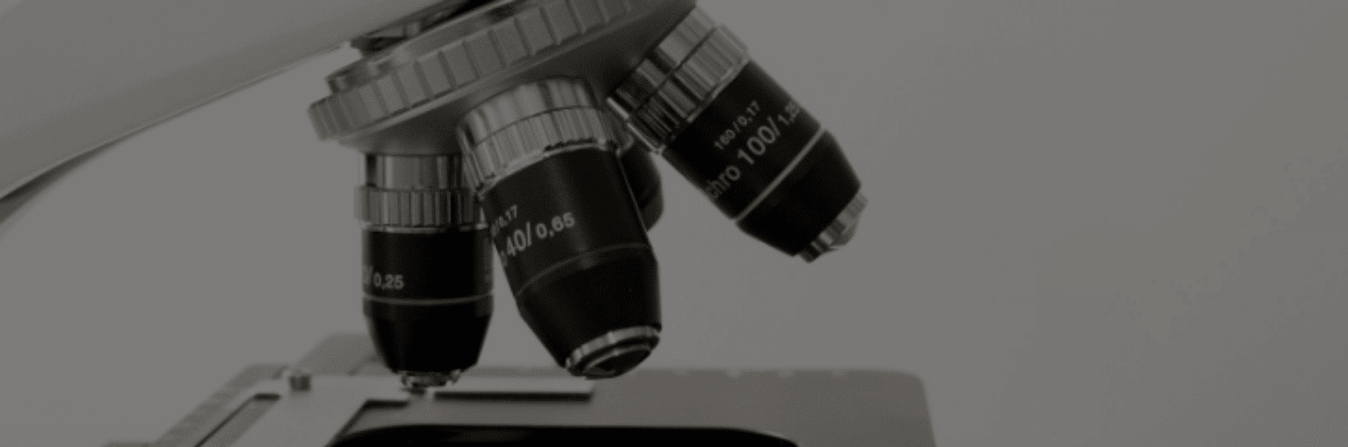 Gans_bacteria_neurosys_microscope_top