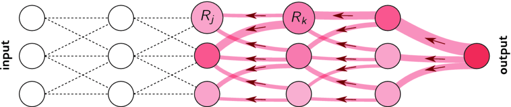 Neural networks - input and output