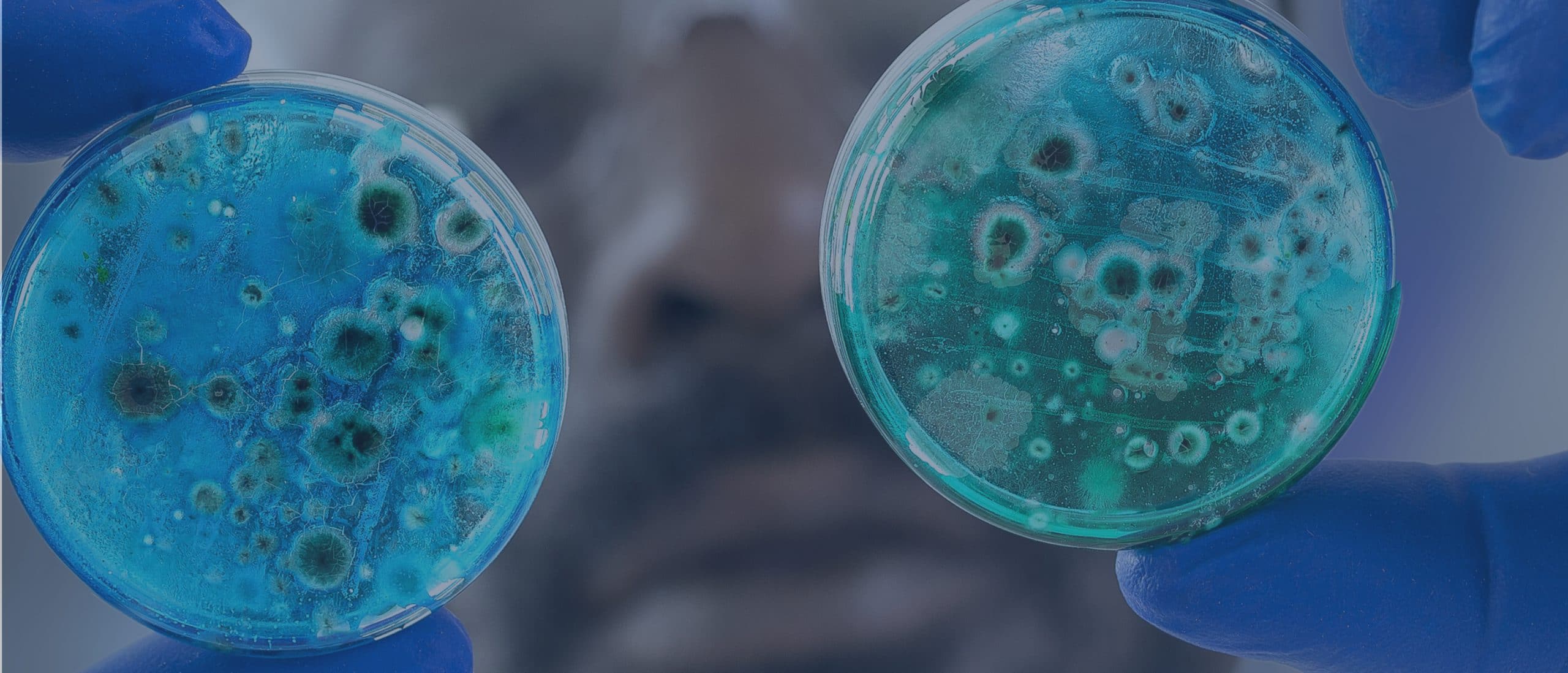 AI-gesteuerte Datenanalyse für industrielle mikrobiologische Labore