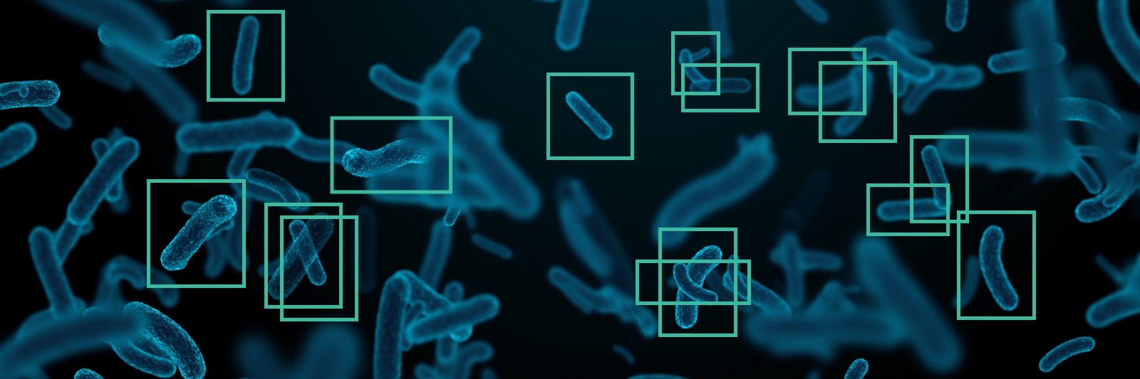 object detection in microbiology