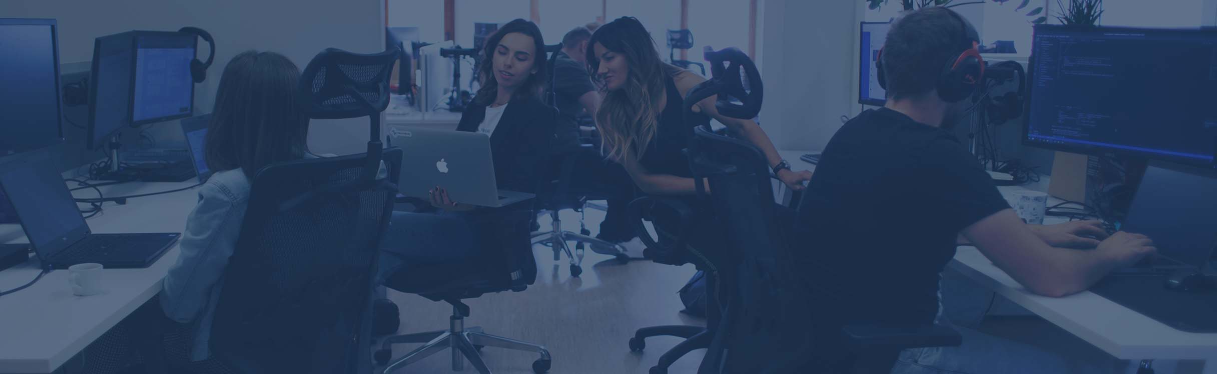 software developers IT management