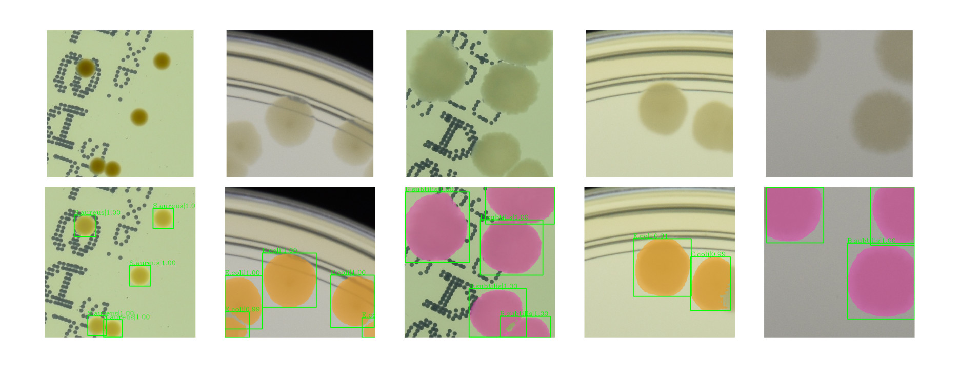 Training deep learning models