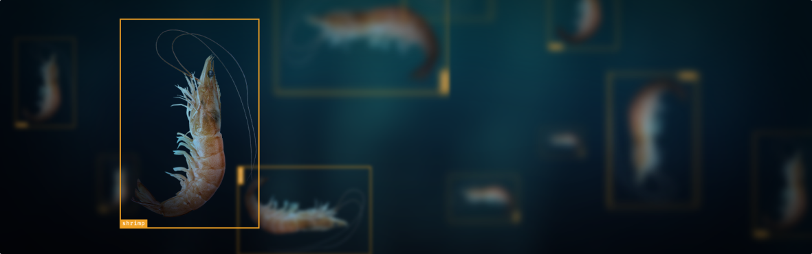 Ai in aquaculture cover