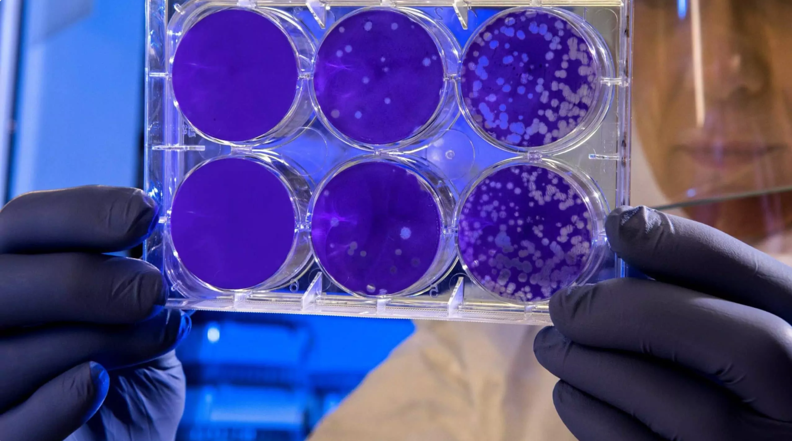 Ai in pharma drug discovery