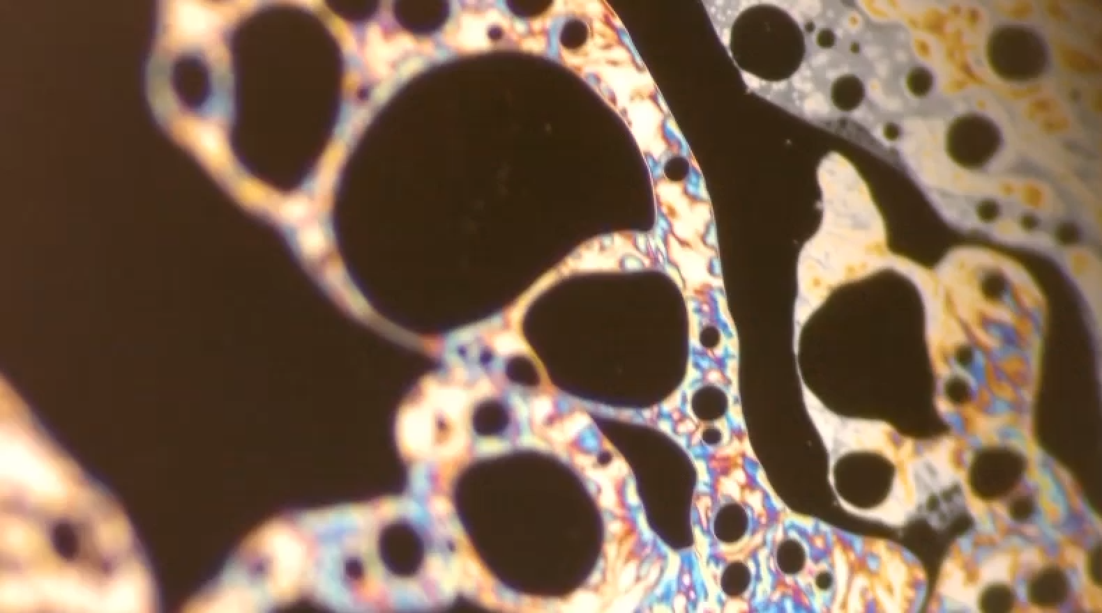 Ai in pharma microbiome analysis